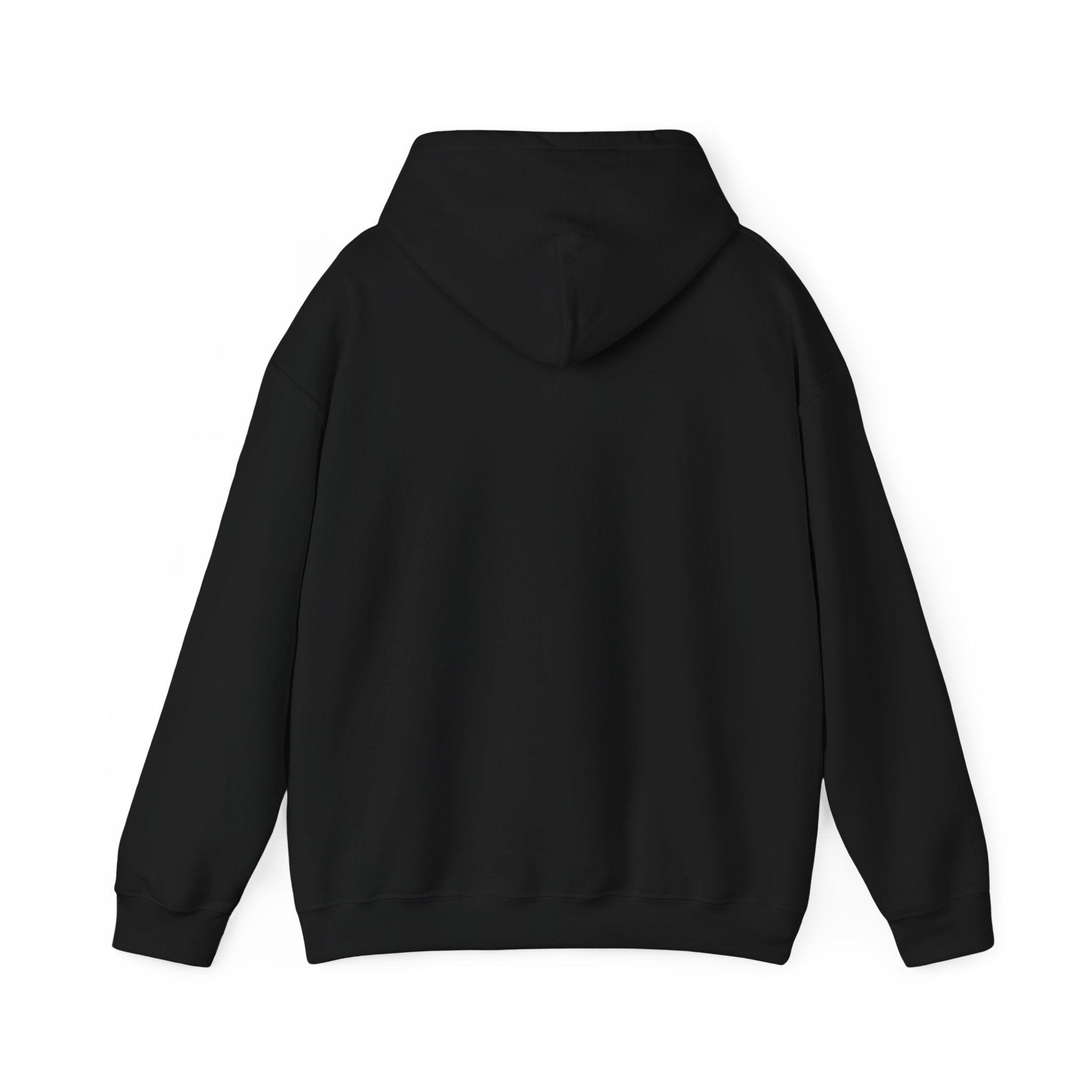 Arts Program Unisex Hoodie
