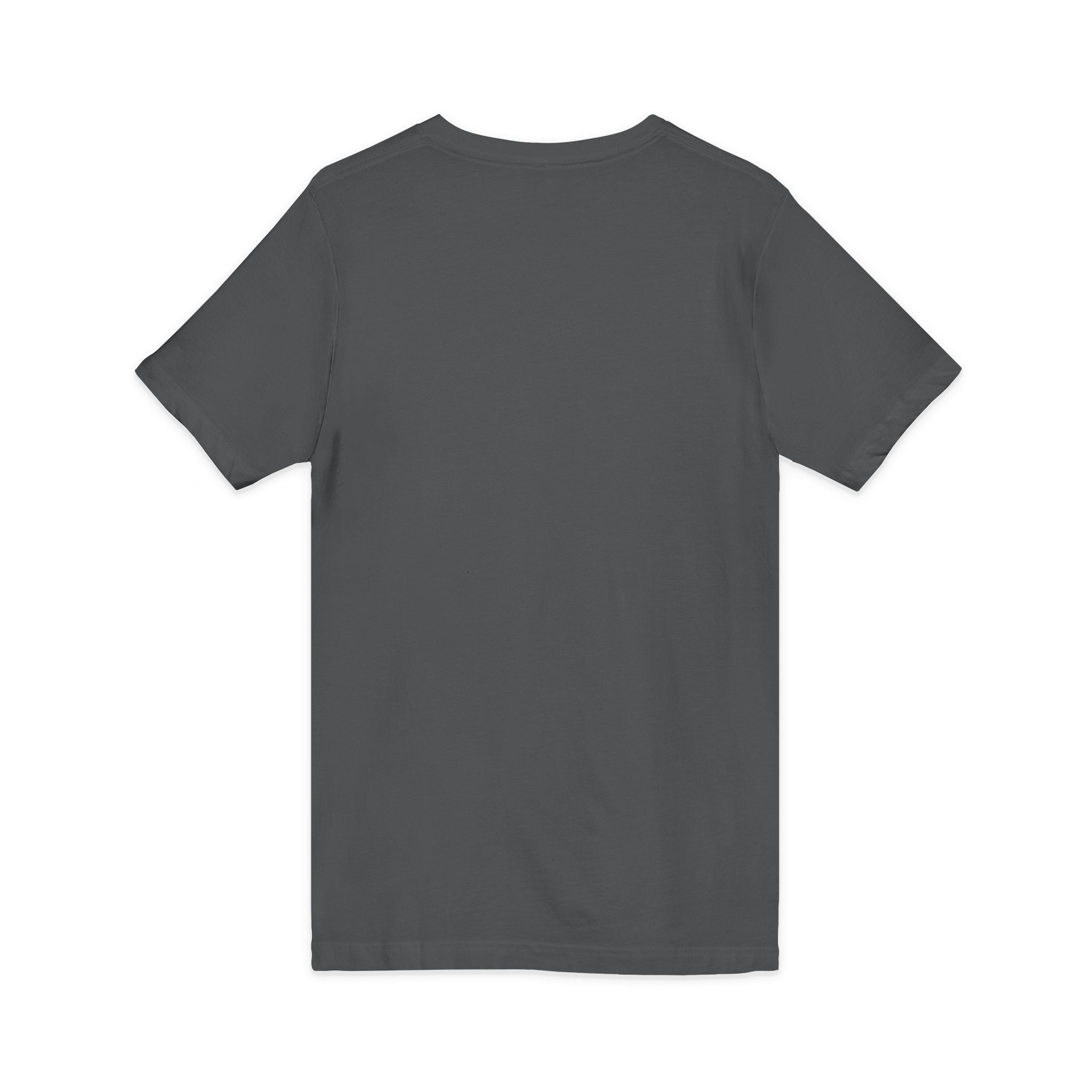 Business Management Program V-Neck Tee — College Student Career Prep Shirt