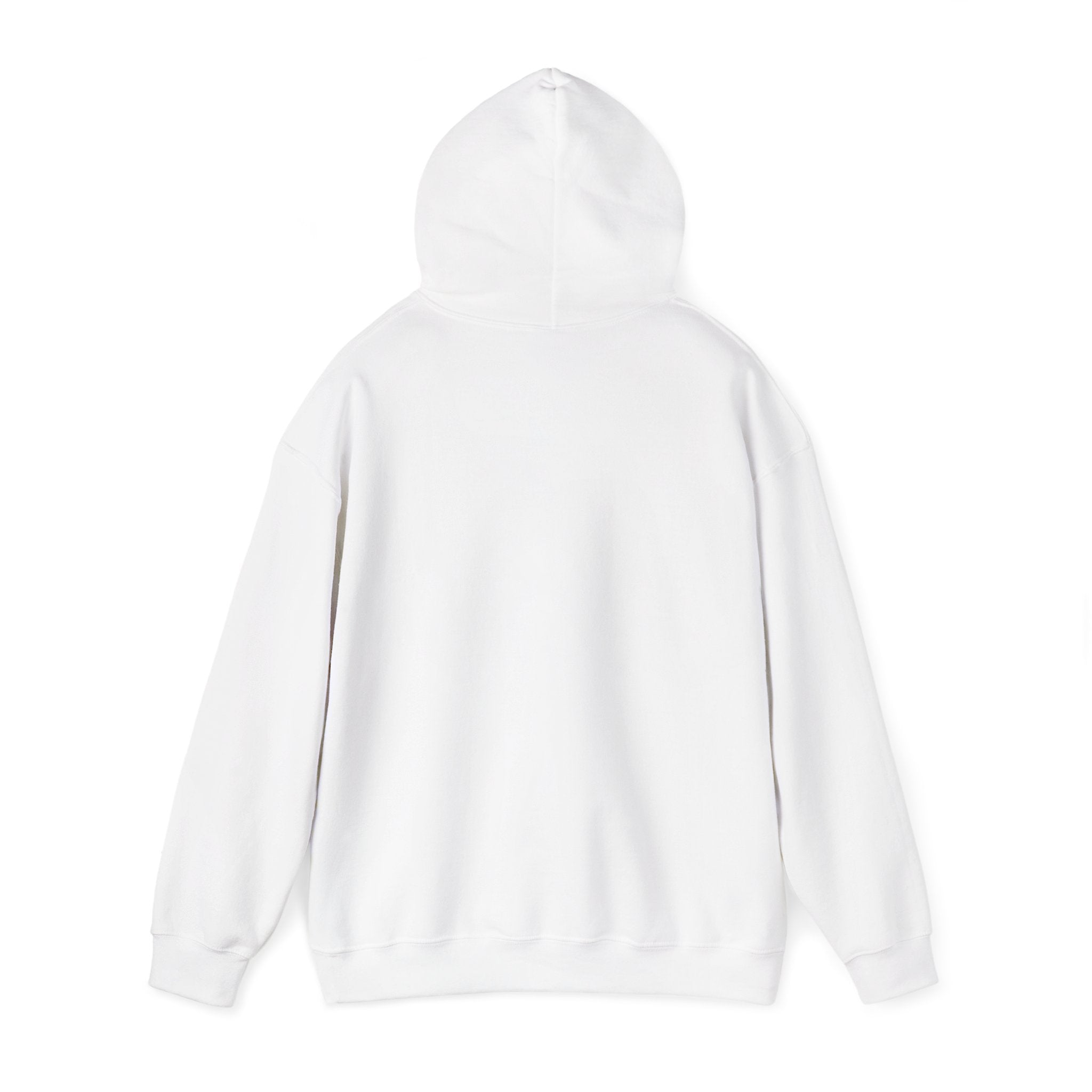Arts Program Unisex Hoodie