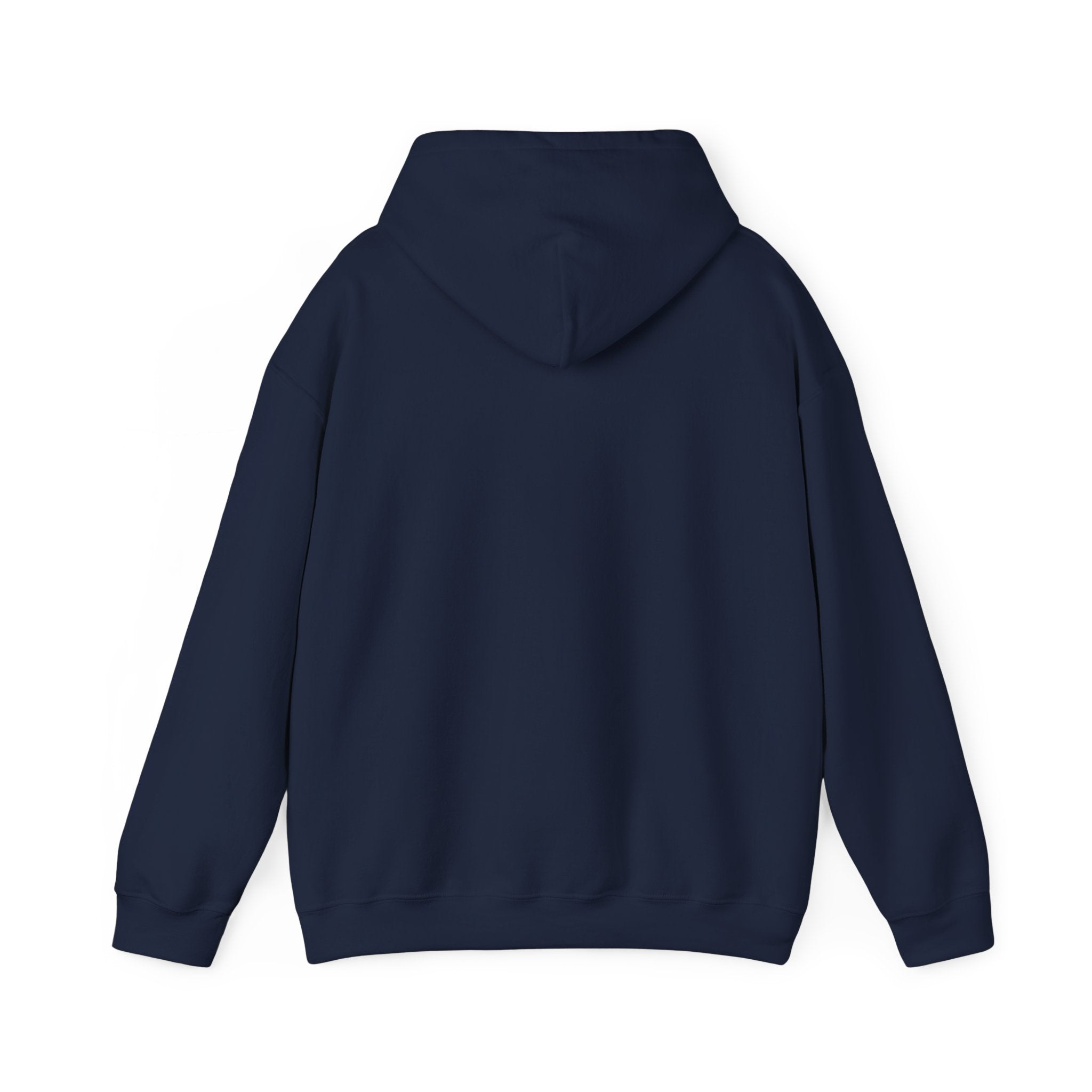 Arts Program Unisex Hoodie