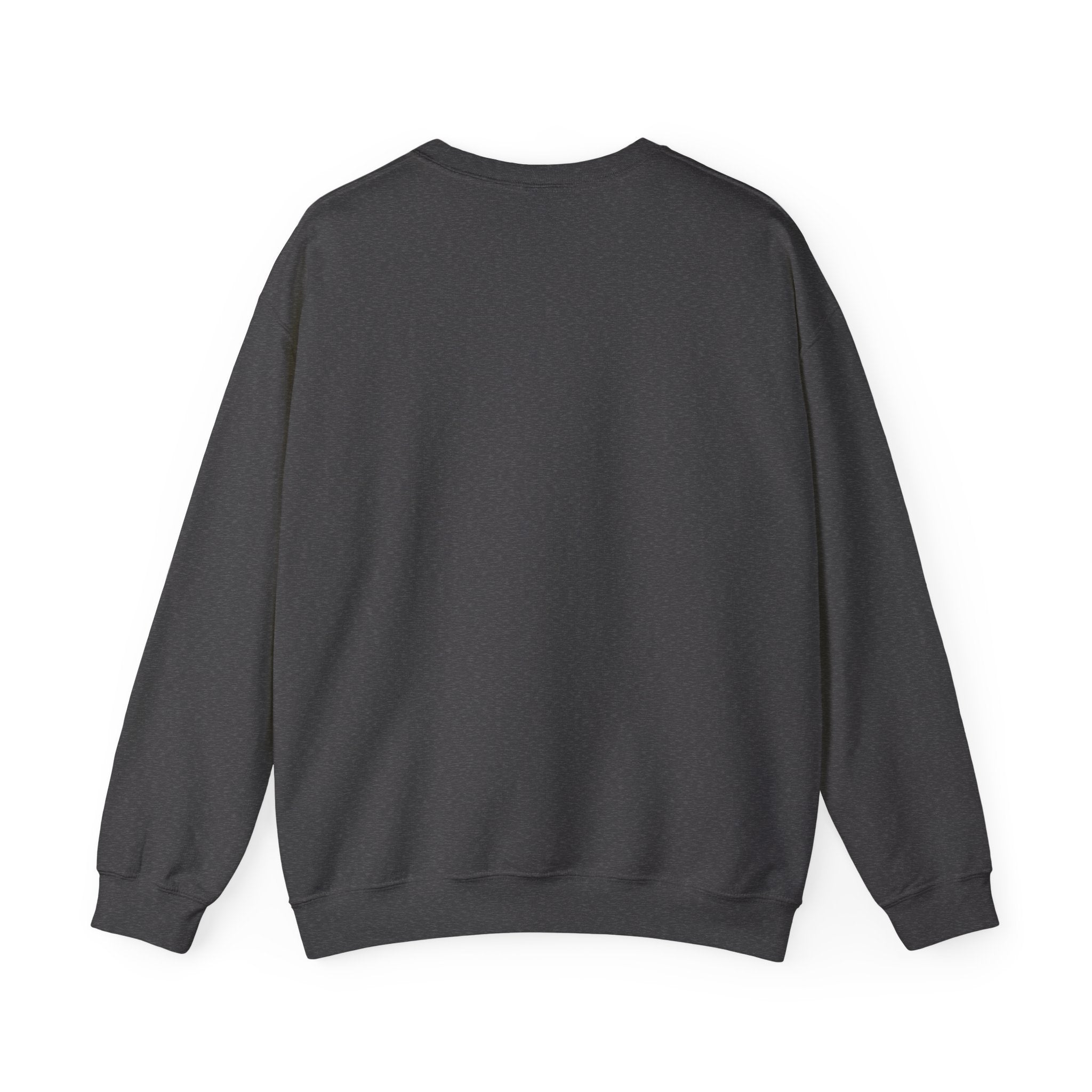 Accounting Program Sweatshirt College Crewneck