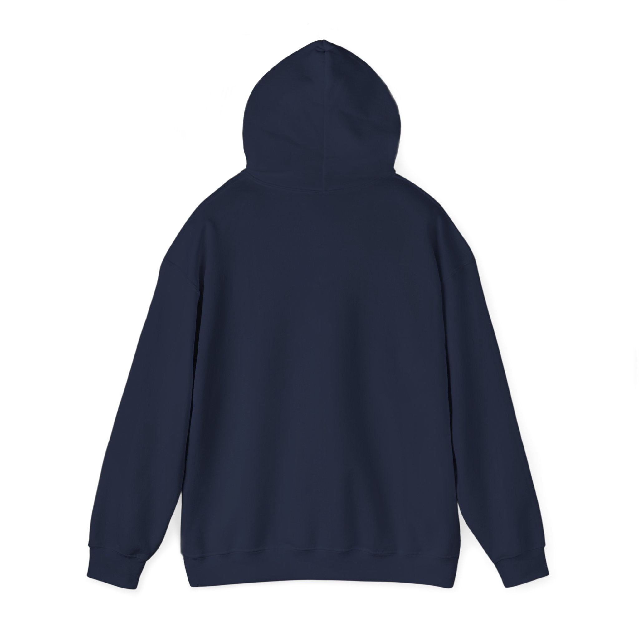 Arts Program Unisex Hoodie