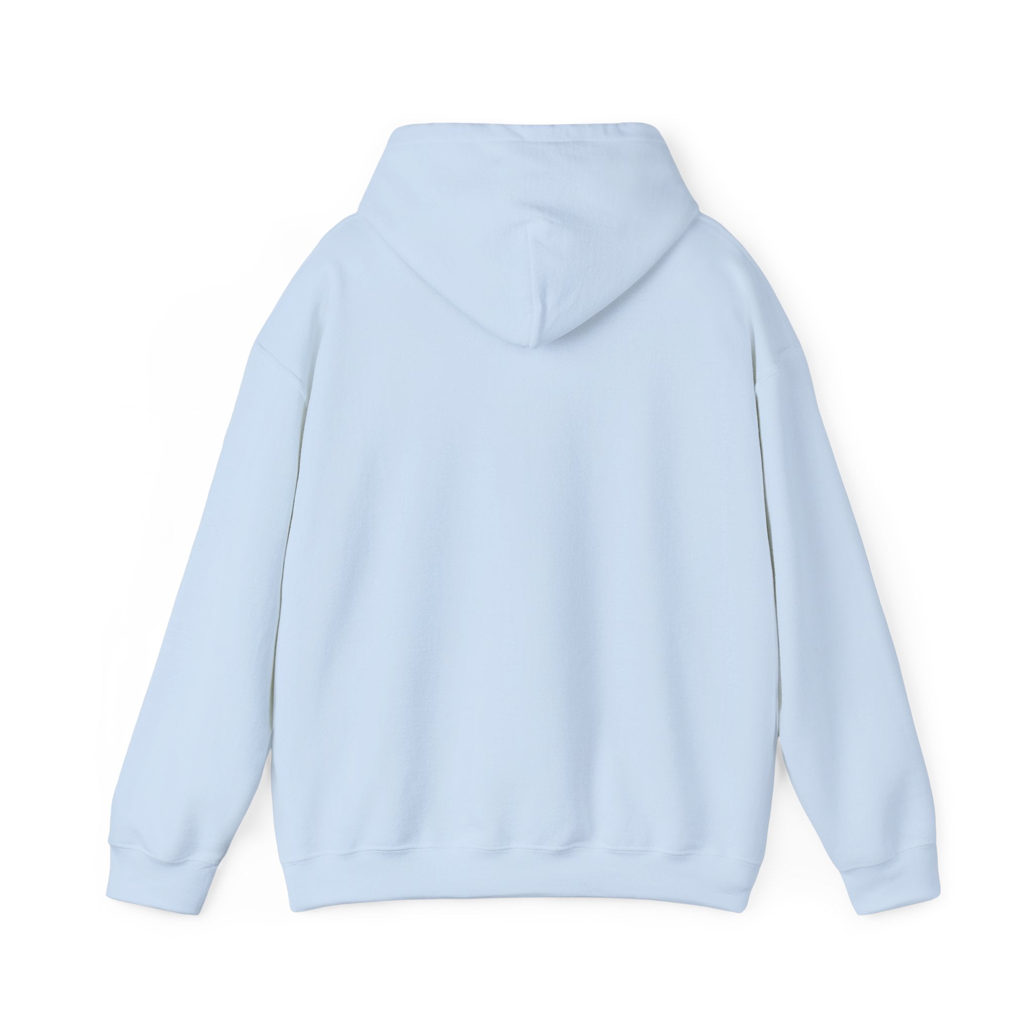 College Business Program Hoodie — Cute Student Mascot Design