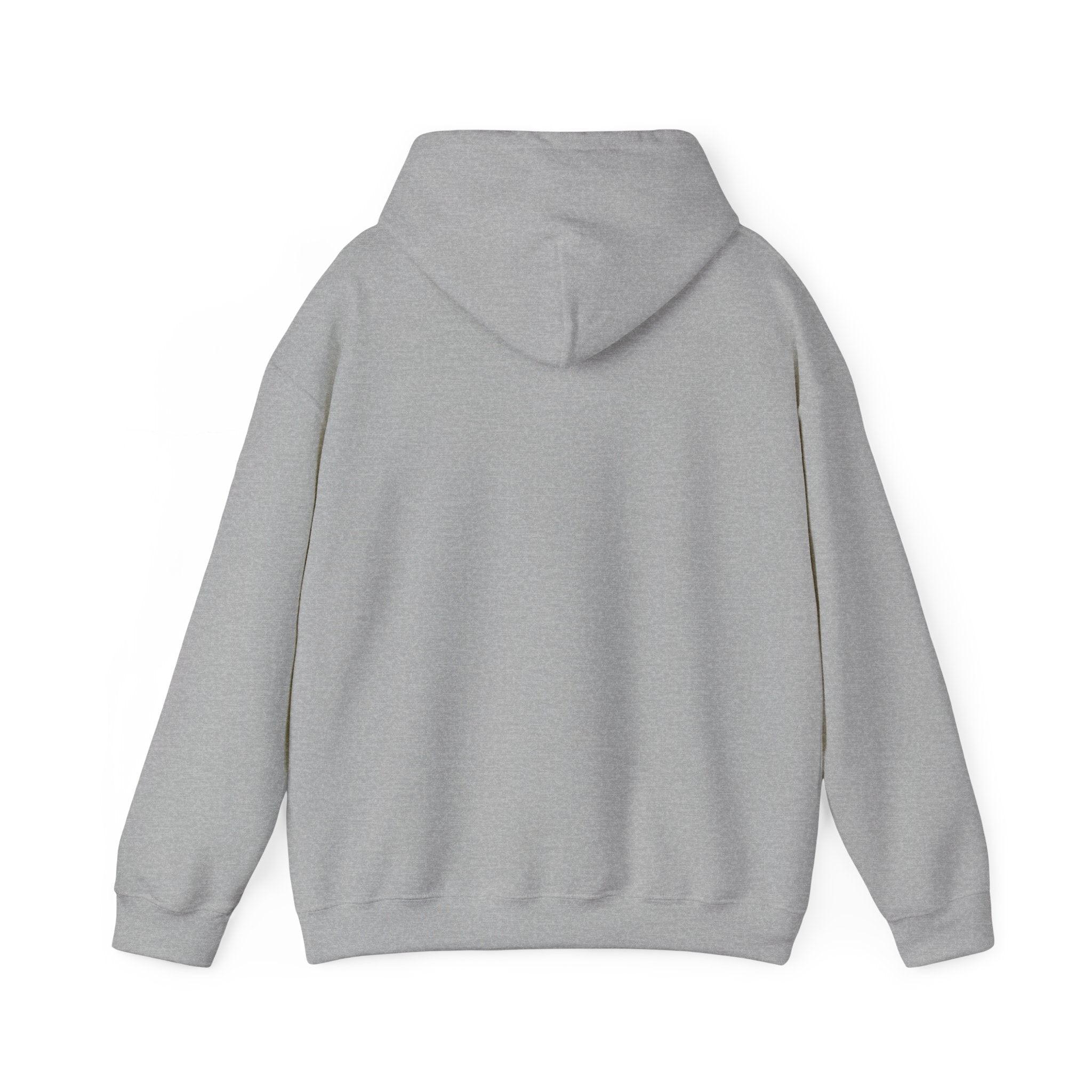 College Business Program Hoodie — Cute Student Mascot Design