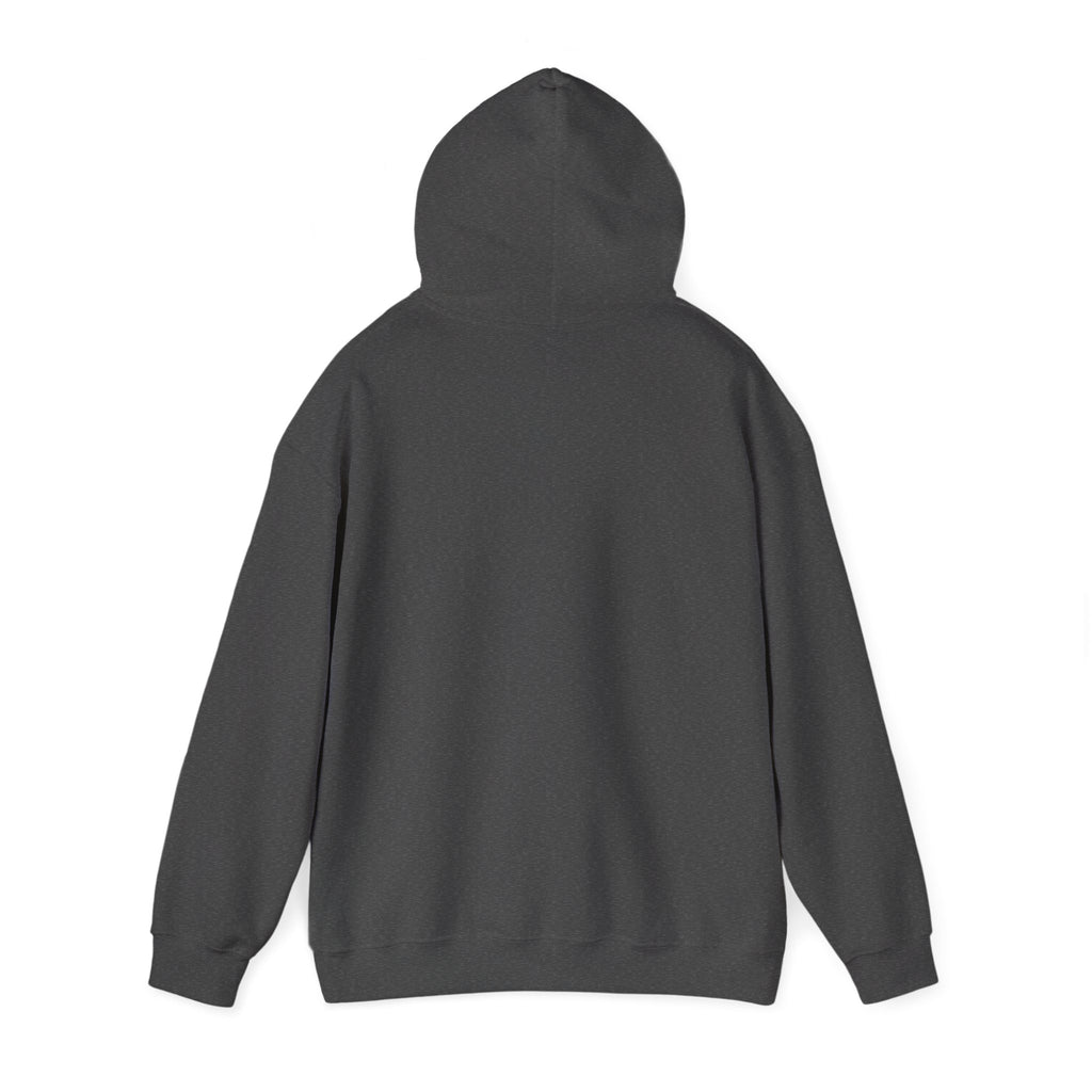 Arts Program Unisex Hoodie