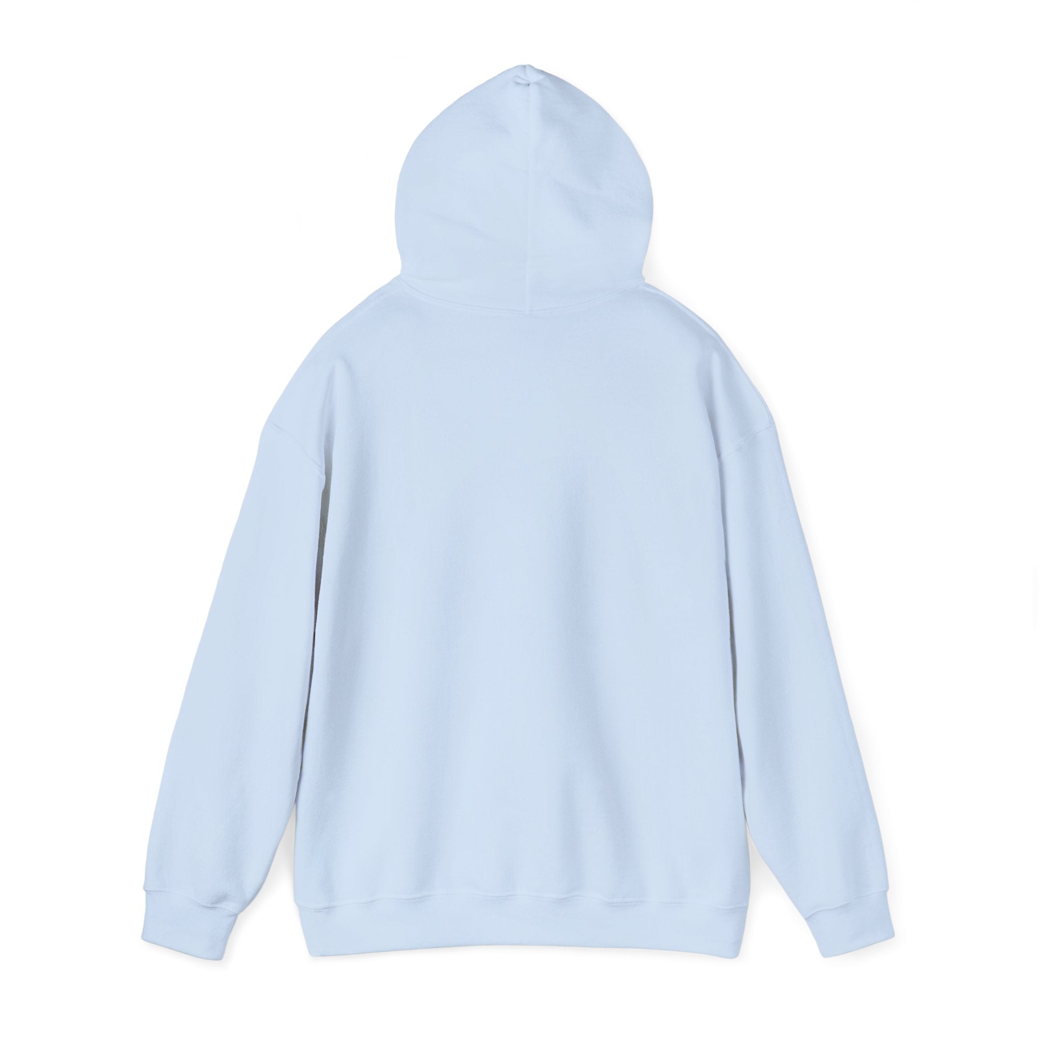 Information Technology College Hoodie
