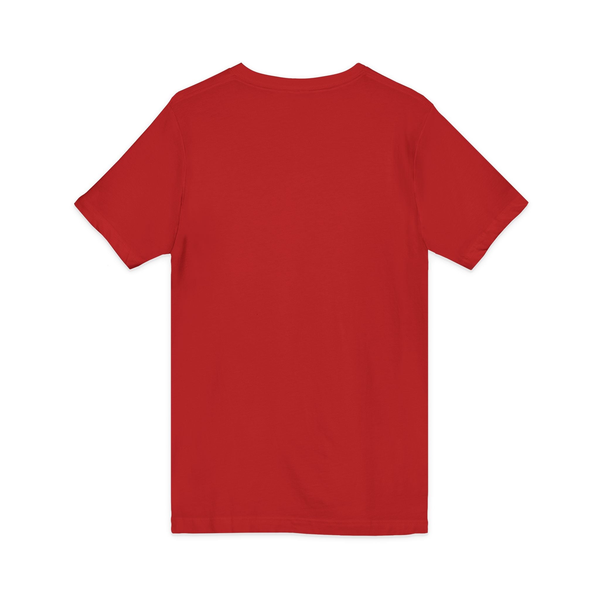 Occupational Therapy Tools V-Neck Tee — 'I've Got Tools to Handle Your Chores' School Shirt